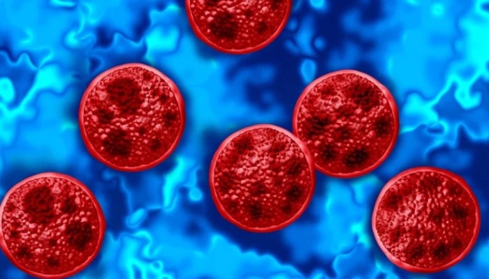 Cyclosporiasis outbreak: first deaths reported in Michigan as CDC tracks rising cases