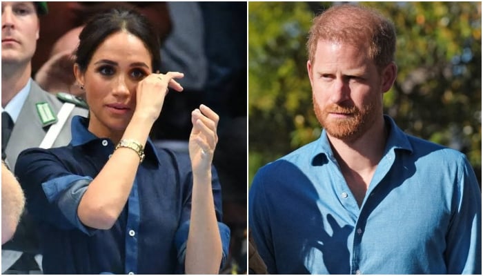 Meghan Markle, Prince Harry divorce truth laid out