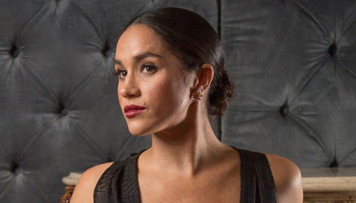 What did Meghan Markle actually say during Hollywood dinner party about the Palace? Read