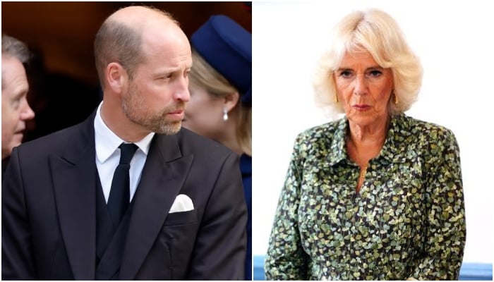 Queen Camilla goes behind Prince William’s back