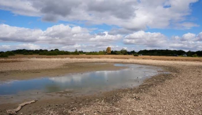 Will another heatwave hit the UK next week? Here’s what the latest forecast says   www.thenews.com.pk