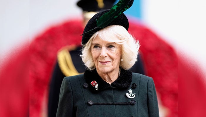 ‘Distrustful’ Queen Camilla takes a big risk against the man who will decide her fate