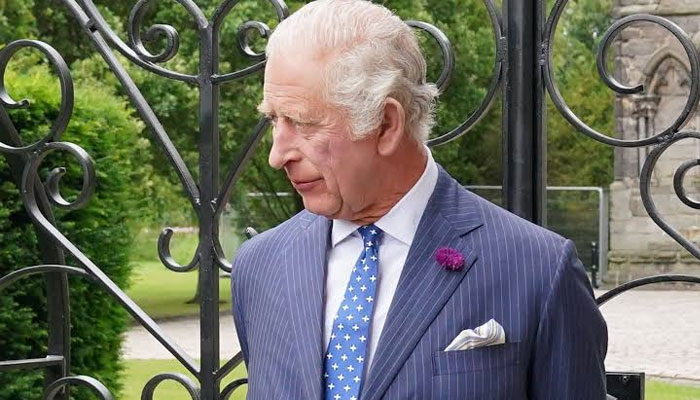 Palace source exposes their biggest fears about King Charles