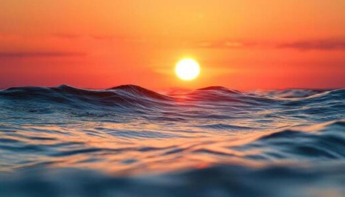 Heres how Marine heatwaves are quietly threatening human health