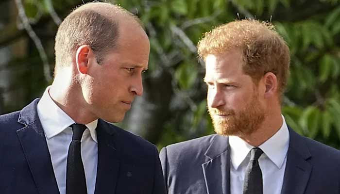 Prince William not ready to end feud with Harry, sources claim