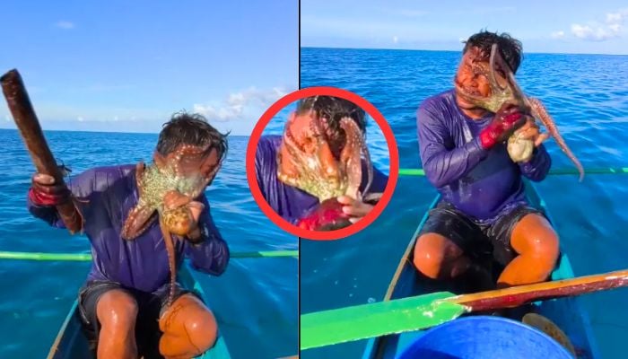 Shocking footage captures octopus latched onto fishermans face in brutal tug-of-war