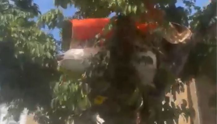 Video of people living in trees sparks fresh debate over UK housing crisis