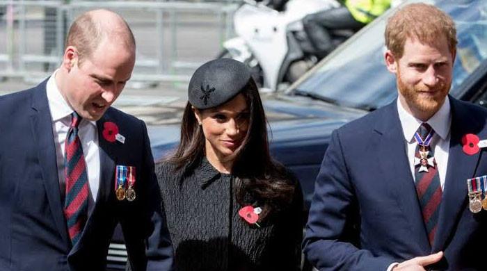 Royal expert reveals Prince William's reaction to Harry, Meghan potential public apology