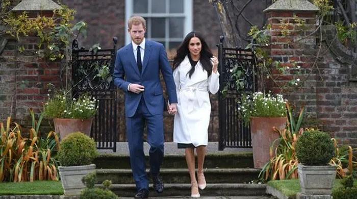 'Meghan Markle certainly doesn't have commercial pull she has so desired'