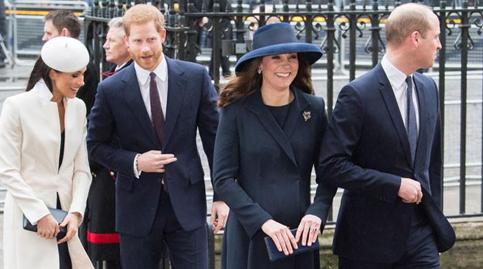 Meghan Markle, Harry's fractured relationship with royals becomes 'professional liability'