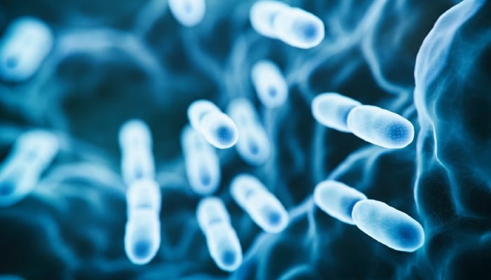Toronto Public Health investigates Legionnaires disease outbreak after six cases
