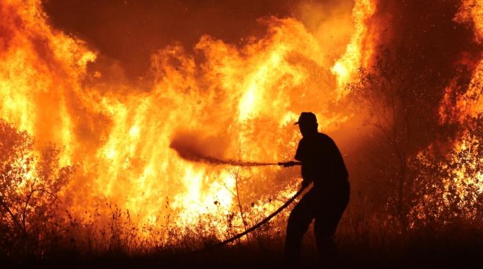 Greece wildfires kill elderly couple as Belgium battles largest blaze in modern history