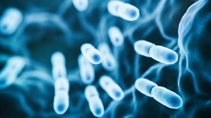 Toronto Public Health investigates Legionnaires disease outbreak after six cases