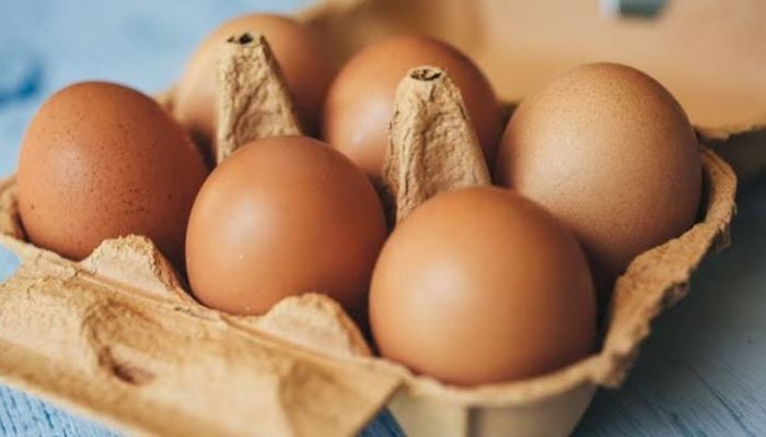 UK Salmonella outbreak: Imported eggs linked to one death, hundreds sickened