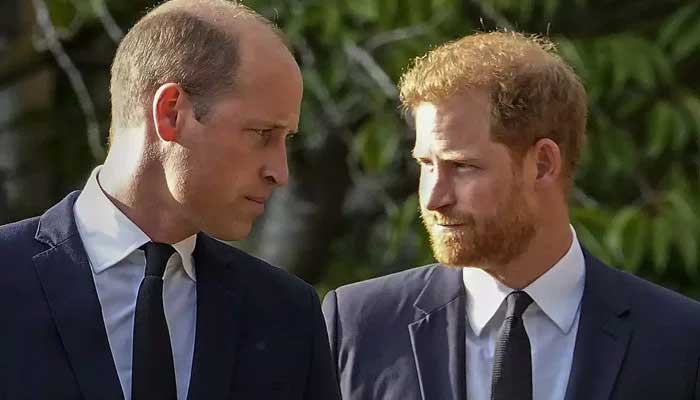 Prince William and Prince Harrys supporters react to new Diana book announcement