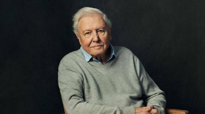 Sir David Attenborough continues to mark milestones at 100 as he receives two major nods