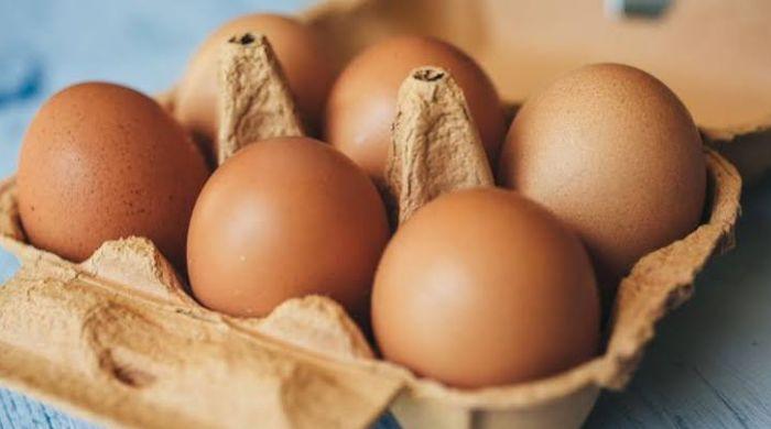 UK Salmonella outbreak: Imported eggs linked to one death, hundreds sickened 
