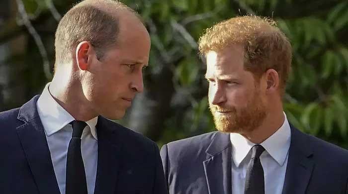 Prince William and Prince Harry's supporters react to new Diana book announcement