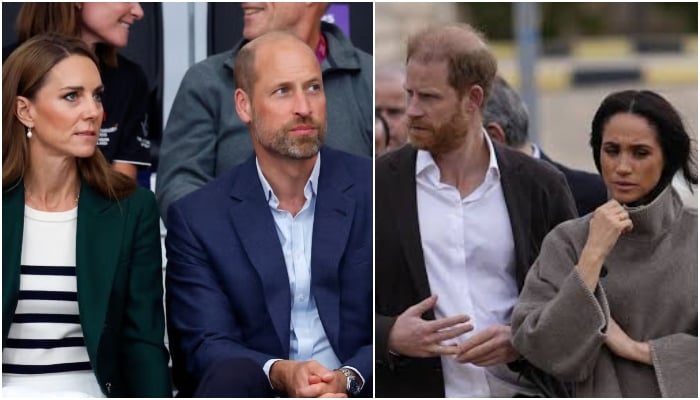 Prince William’s biggest mistake with Harry, Meghan comes out: ‘Played like a fiddle’