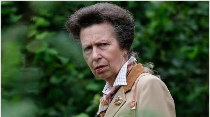 Princess Anne comes out: ‘This immaturity is unacceptable especially when the King is ill’