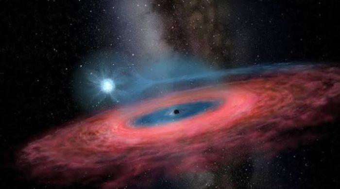 Scientists discover fastest-known star zooming through the Milky Way 