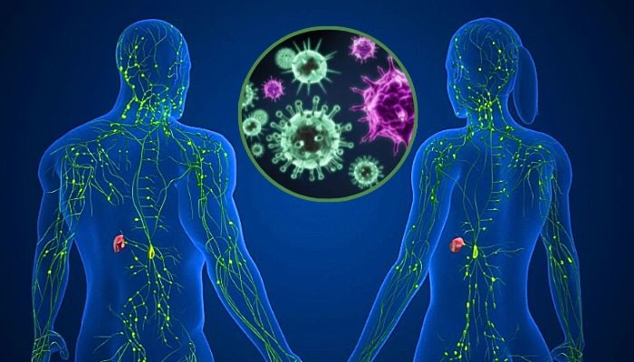 Study reveals why female immunity differs from mens–The science of the biological divide