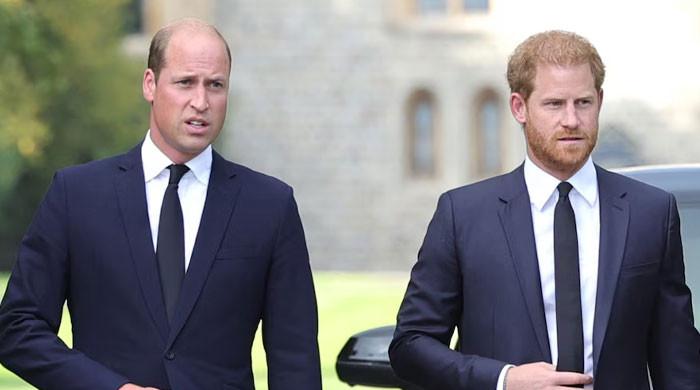 Prince Harry, Meghan's return to UK could trigger 'huge succession challenges'
