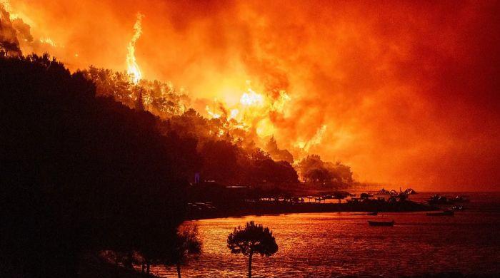 Europe wildfires could jump 39% even in best case: Study