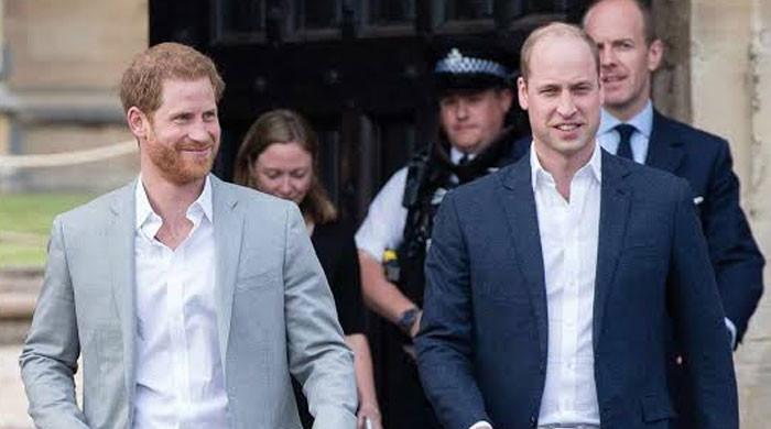 'Future of the monarchy relies' on Prince William, Harry's relationship