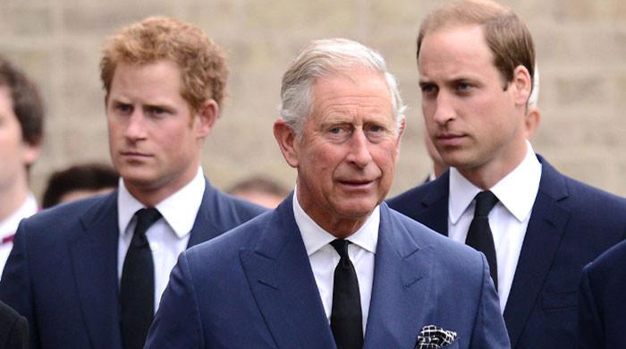 Could Prince Harry's return strain ties between Prince William and King Charles?