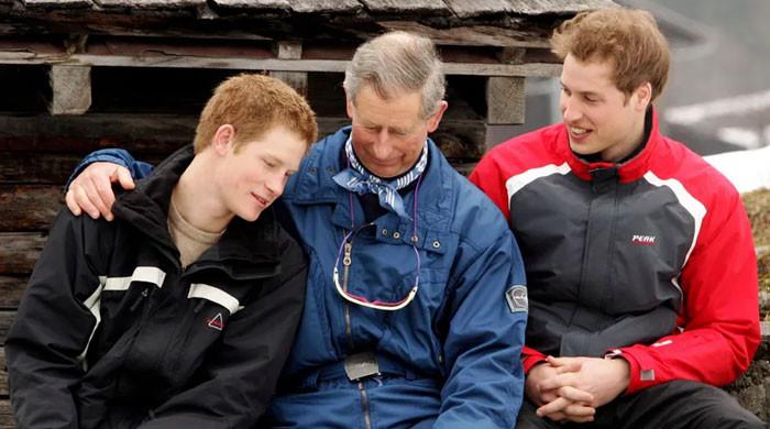 King Charles takes big step against Prince William over Harry: 'Ultimate revenge'