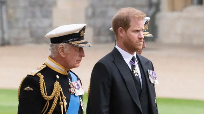 Meghan Markle, Prince Harry will be 'asset for royal family' in future