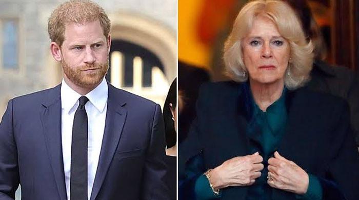 Prince Harry suspects 'hawkeyed' Queen Camilla still stirring up trouble