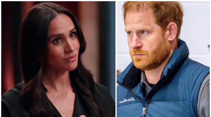 'Ready & willing' Prince Harry faces biggest roadblock in Meghan: 'Can’t stomach his unhealthy idea’