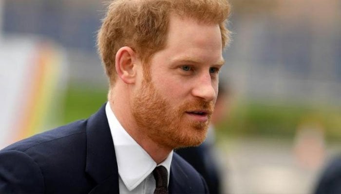Prince Harry in ‘land grab’ situation to become working Royal