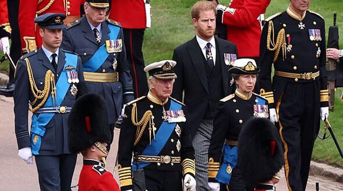 Princess Anne takes major step in Prince William, Harry's reconciliation