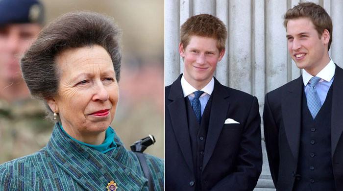 Princess Anne's warning to Prince William, Harry comes to light
