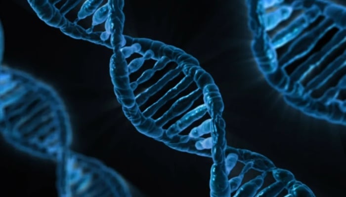 Scientists uncover two lost human ancestors hidden in modern DNA