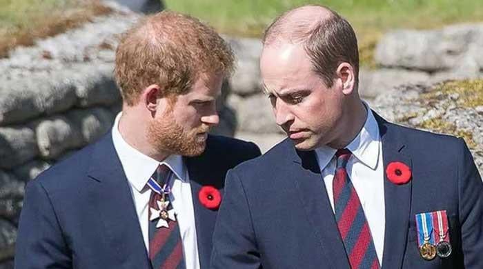 Prince William holds his tongue as Harry adopts new tactics