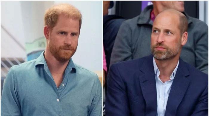 Why does Prince William refuse to forgive Prince Harry? Broadcaster breaks silence