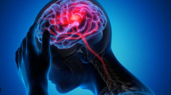 New discovery reveals how the brain could turn off chronic pain