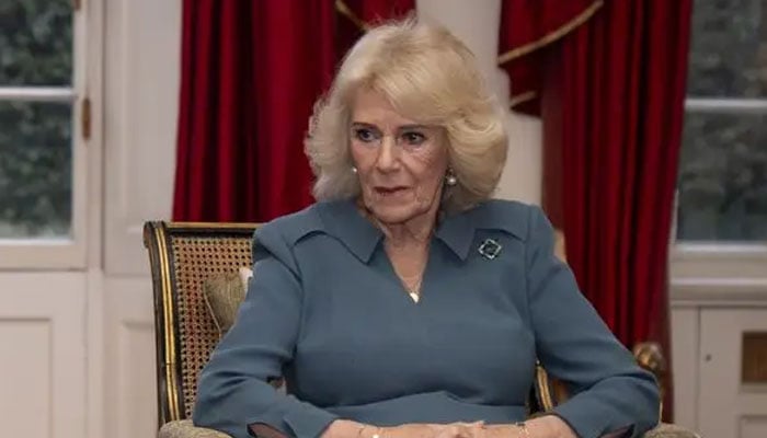 Queen Camilla sets her sights on a young royal: ‘She has a jealous streak there’s no denying it’