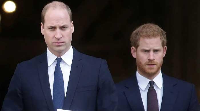 Prince William rejects public appearance with Harry: Here's why