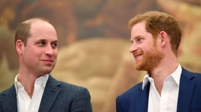Prince Harry’s UK return leads to peace with Prince William?