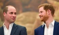 Prince Harry’s UK return leads to peace with Prince William?