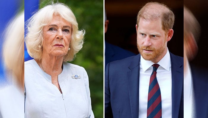 Inside Prince Harry’s tightrope with Queen Camilla: Report