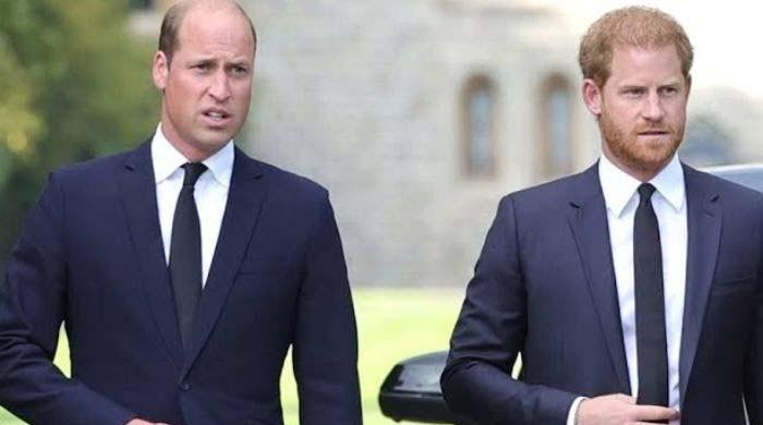 Prince Harry and William's old friends to play major role in reconciliation