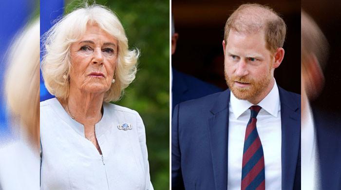 Inside Prince Harry’s tightrope with Queen Camilla: Report