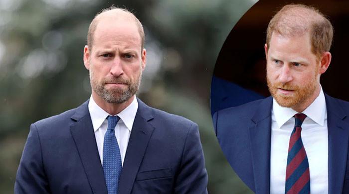 Prince William’s anger for spare whose ‘waltzed back in’ gets dissected: Psychiatrist