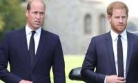 Prince Harry and William's old friends to play major role in reconciliation